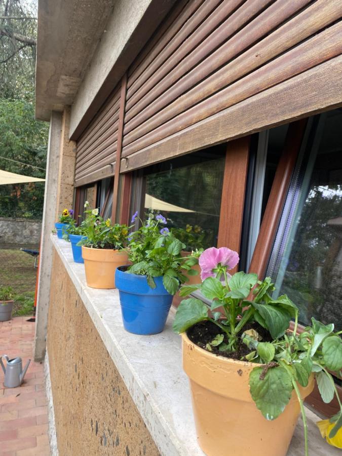 Il Giardinetto Di Elelu' Private Garage Apartment Orvieto Exterior photo